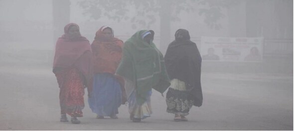 Cold wave grips Delhi, mercury dips to 3.2 deg C