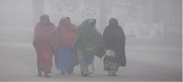 Severe cold grips northwest India; no relief likely for 3 days
