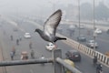 Mercury dips in Delhi; expect clear skies during the day, says IMD