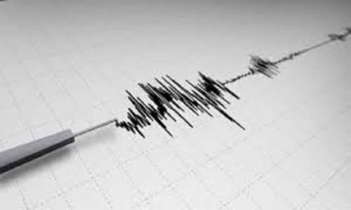 4.1 magnitude earthquake hits Andaman and Nicobar Islands