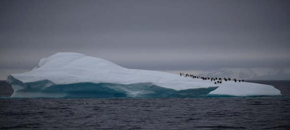 In a first, microplastics found in fresh Antarctic snow