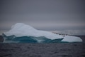 In a first, microplastics found in fresh Antarctic snow