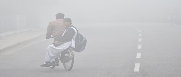 Dense fog in parts of Delhi, 'cold wave' predicted for 2 days: IMD