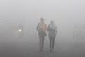 IMD predicts dense fog over north-west India for the next 5 days