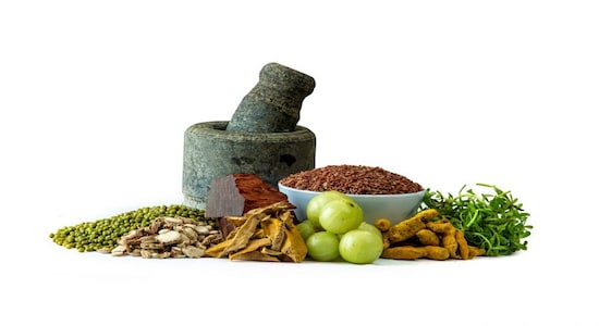 AYUSH Ministry, WHO SEARO ink agreement to bolster traditional medicine in S-E Asia region