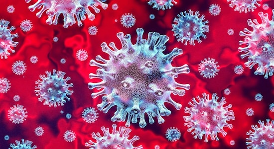 New easy-to-deliver treatment stops replication of COVID-19, flu viruses: Study