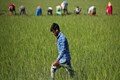Agri infra cess: Know what it is! And why are states unhappy about it?