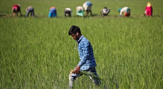 India adds 16 mn jobs in July mostly in farm sector, salaried jobs fall by 3.2 mn: CMIE