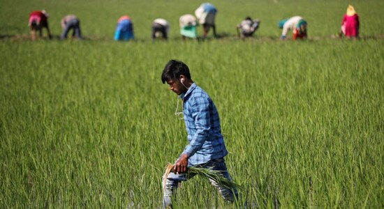 India adds 16 mn jobs in July mostly in farm sector, salaried jobs fall by 3.2 mn: CMIE