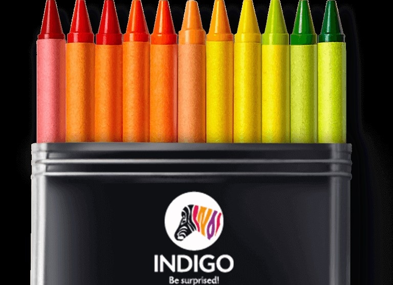 Indigo Paint Colour at best price in Gandhinagar by Shree Vasudev Treders |  ID: 25138995288
