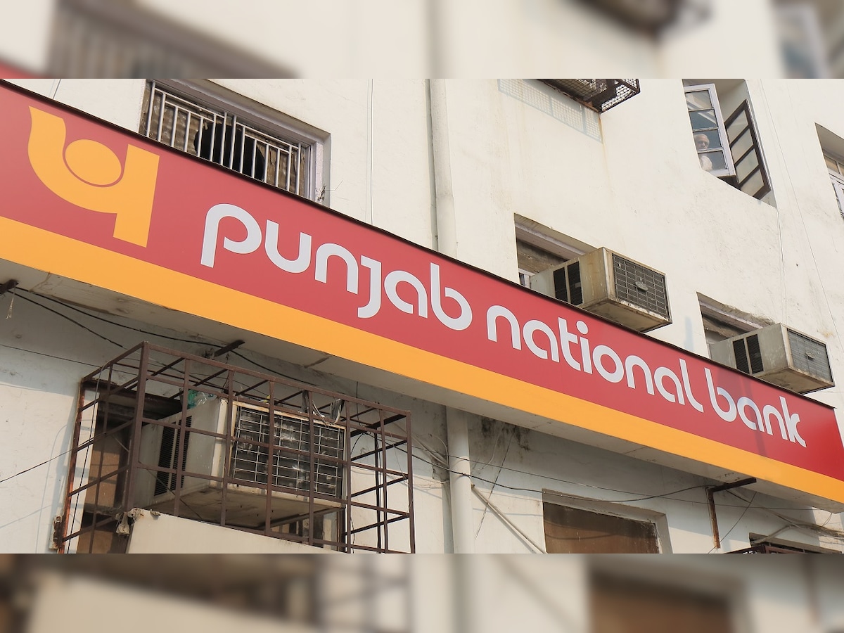 Punjab National Bank To Remain Open On Sunday To Process Lic Ipo  Applications