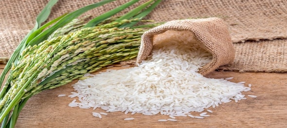 India exports 26 lakh tonnes of basmati rice, 73.18 lakh tonnes of non-basmati rice in Apr-Oct