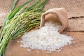 New crop at mandis priced 30% higher; basmati rice shortfall likely