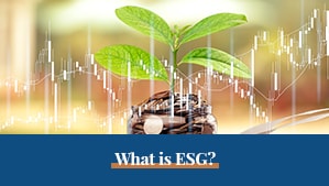 ESG  Booklet copy