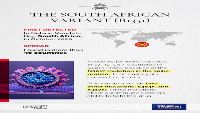 Mutant Variants Infographic: From UK to India's 'double mutant', here's a quick guide ...
