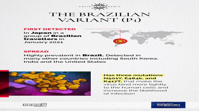 Infographic: From UK to India's 'double mutant', here's a quick guide ...