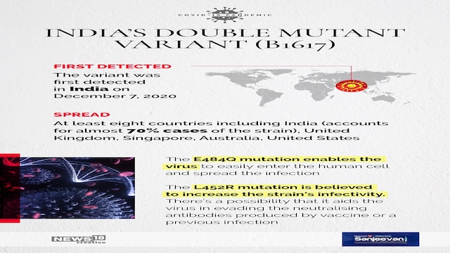 Mutant Variants Infographic: From UK to India's 'double mutant', here's a quick guide ...