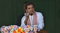 Congress slams govt's stimulus measures; Rahul Gandhi calls it another sham