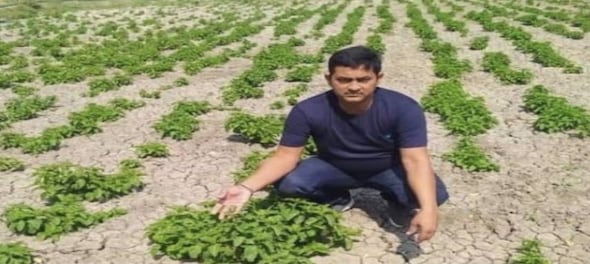 Did Bihar farmer grow world’s costliest vegetable or was it a lie? Here's the truth