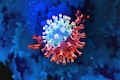 COVID-19 mutations: Why the virus might still have some tricks to pull