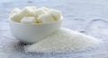 Expect domestic sugar prices to remain firm: Balrampur Chini