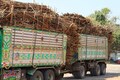 Union Cabinet approves hike in sugarcane FRP to ₹340