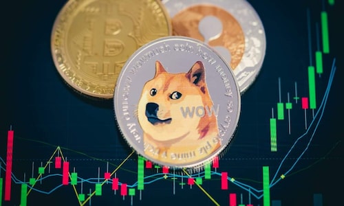 Mysterious ‘whale’ account holds 28% of total available Dogecoin worth over $12 billion: Reports