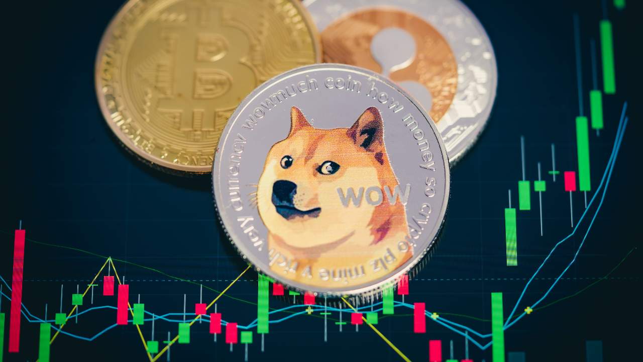 Big Eyes Coin A community token that could become the next Dogecoin