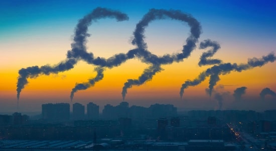 Carbon offsetting: What does it mean, its significance, how can you offset your carbon footprint
