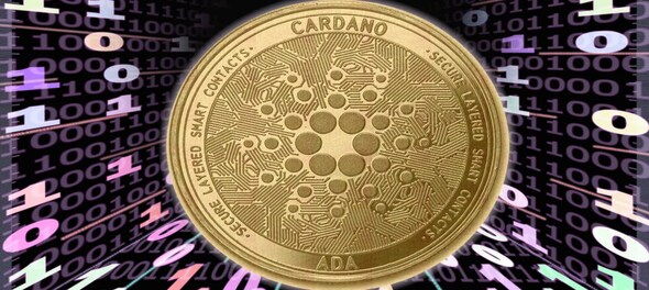 Whale holdings in Cardano's ADA token hit record high—what it means for the network