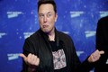 Elon Musk says this to Twitter user who calls him 'world’s greatest doomsday prepper'