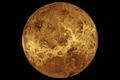 Elon Musk may eye Mars, but for New Zealand rocket man Peter Beck it's Mission Venus