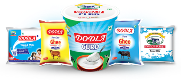 Dodla Dairy Share Price: Stock ends 8% higher extending three-day surge to 35%