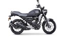 Yamaha launches 150cc FZ-X leisure rider at Rs 1.17 lakh; specs, features here