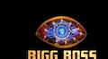 Storyboard18 | Inside Bigg Boss’ fandom and what brands can learn from it