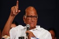 NCP's likely merger with Congress — why Sharad Pawar wants to settle the future of his party sooner