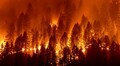 Crews battling California's mammoth Dixie fire brace for high winds