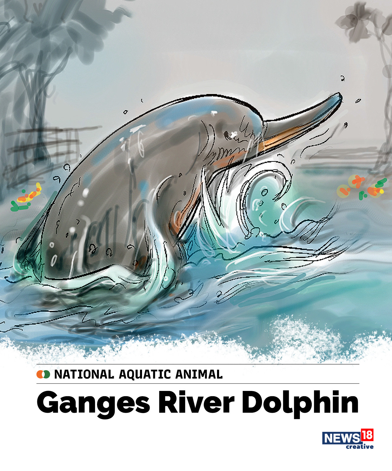 india's national aquatic animal, ganges river dolphin, india national symbols, india independence day