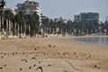 BMC allows opening of beaches, gardens, grounds in Mumbai from 6 am to 10 pm