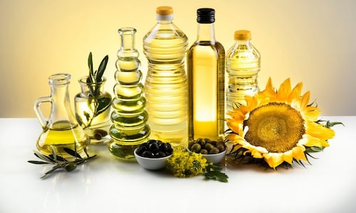 Vegetable oil imports up 13% to over 11 lakh tonnes in March: SEA