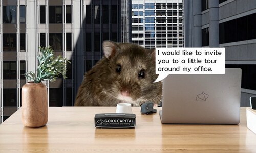 Who is Mr Goxx, the crypto-loving hamster beating the stock market?