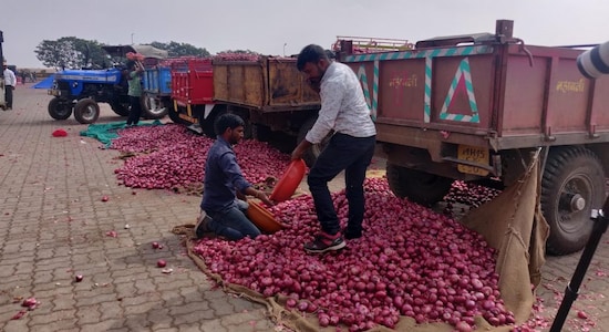 Maharashtra's onion farmers cry over selling produce at less than half the production price
