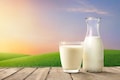 Nandini milk, curd prices hiked in Karnataka