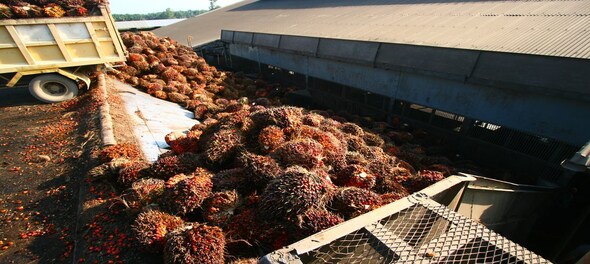 Palm oil prices expected to drop by more than 20 percent — here is how it will impact FMCG companies
