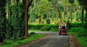 Planning a trip to Coorg? Here are 3 luxury stays you should try out