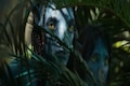 'Avatar' producer releases Kannada trailer of film, says India's diversity continues to amaze him