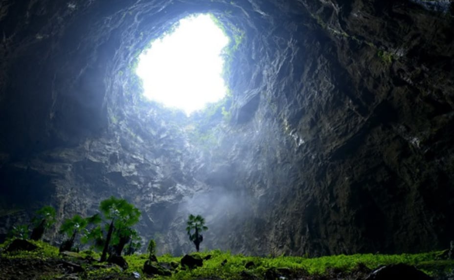 Watch Giant 630footdeep sinkhole with lush ancient forest discovered