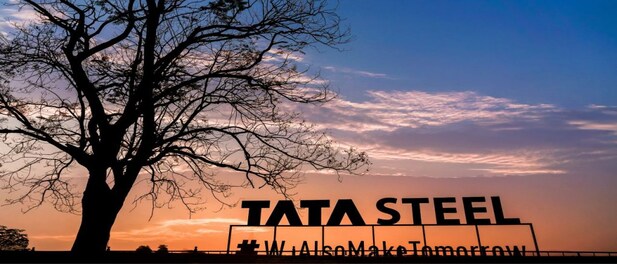 Tata Steel to double output backed by organic growth; new acquisitions unlikely this decade, says T V Narendran