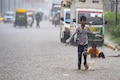 Delhi NCR gets respite from rising heat — check list of states where rains are predicted today