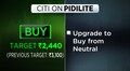 Citi upgrades Pidilite to a 'buy' after stock corrects 25% from highs